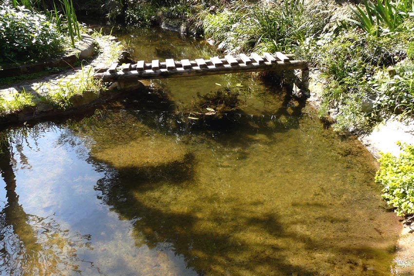 Il Laghetto del Centro di Entomologia - Piombino (LI)